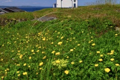 Battle-Hr-2017CF003587