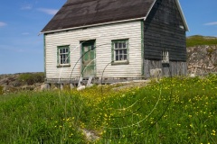 Battle-Hr-2017CF003634