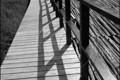 Battle-Hr-2017CF003666-BW