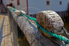 Battle-Hr-2017DSC_0811