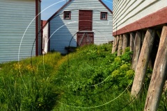 Battle-Hr-2017DSC_0909