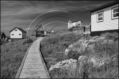 Battle-Hr-2017DSC_0926-BW