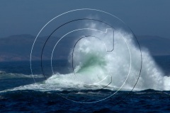 Battle-Hr-2017DSC_1176