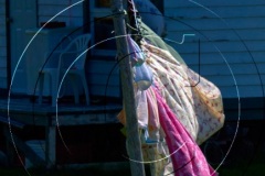 Battle-Hr-2017DSC_1321