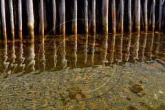 Battle-Hr-2017DSC_1376