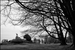 01-London-Arass-2013_DSC894713-Beaumont-Hamel-Caribou-Memorial-BW