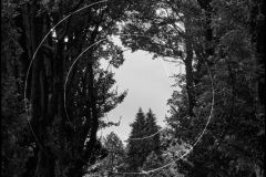 Germany-France-2016DSC_5608-BW