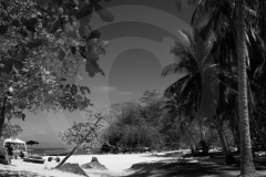 DSC_2930Costa-Rica-2018-1