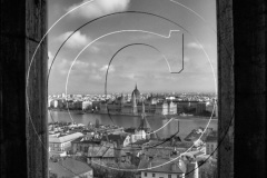 DSC0780London-Danube-2014-BW