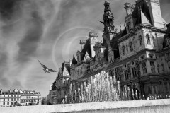 FranceFrance-2018-Sony00877-1