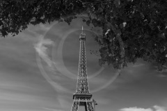 FranceFrance-2018DSC01344-1