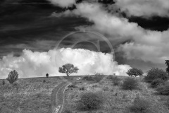 FranceFrance-2018DSC02414-1