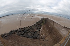 Jersey-2008163
