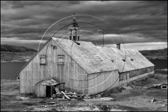 DSC1962BW