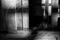 DSC3680Parks-Camp-2010-BW