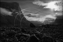 DSC_1845Parks-2014-BW