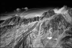 DSC_5281Parks-2015-BW