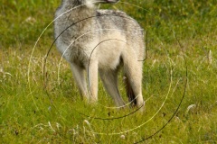 Parks-2011_DSC769011