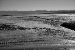 Holland-201800215-1