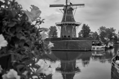 Holland-201800349-1