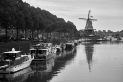 Holland-201800380-1