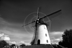 Holland-201800682-1