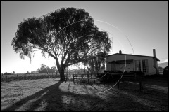 DX3V4439bw1
