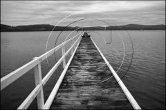 Tasmania-2011DSC_503211BW